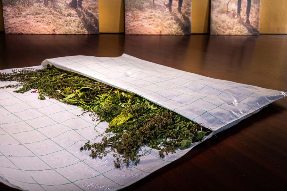 Ecologies of Care