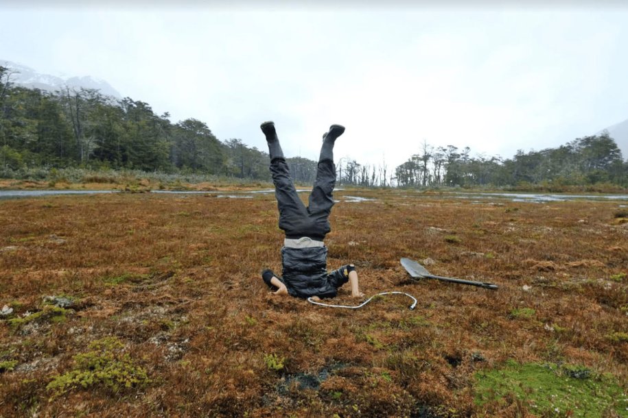 Ecologies of Care
